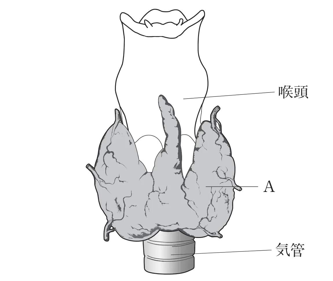 100回問11画像1