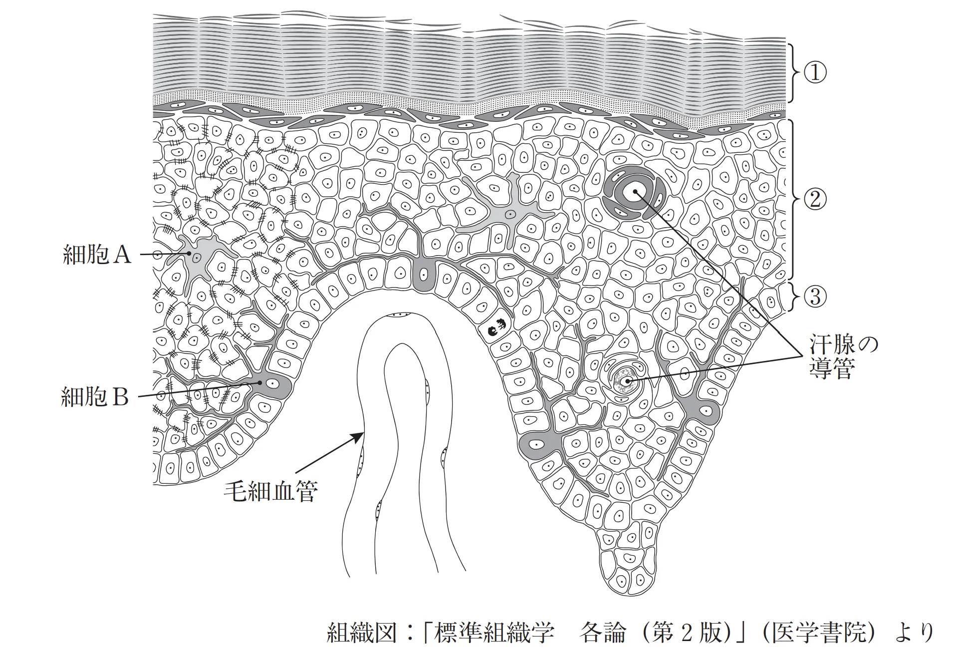 100回問111画像1