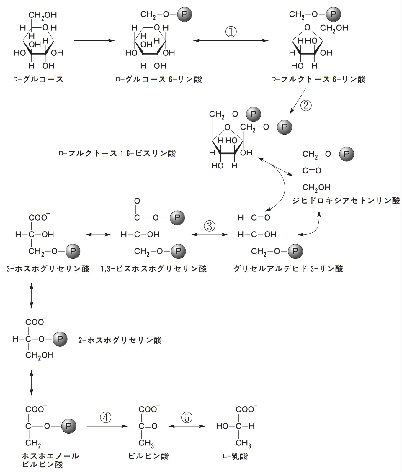 100回問114画像1