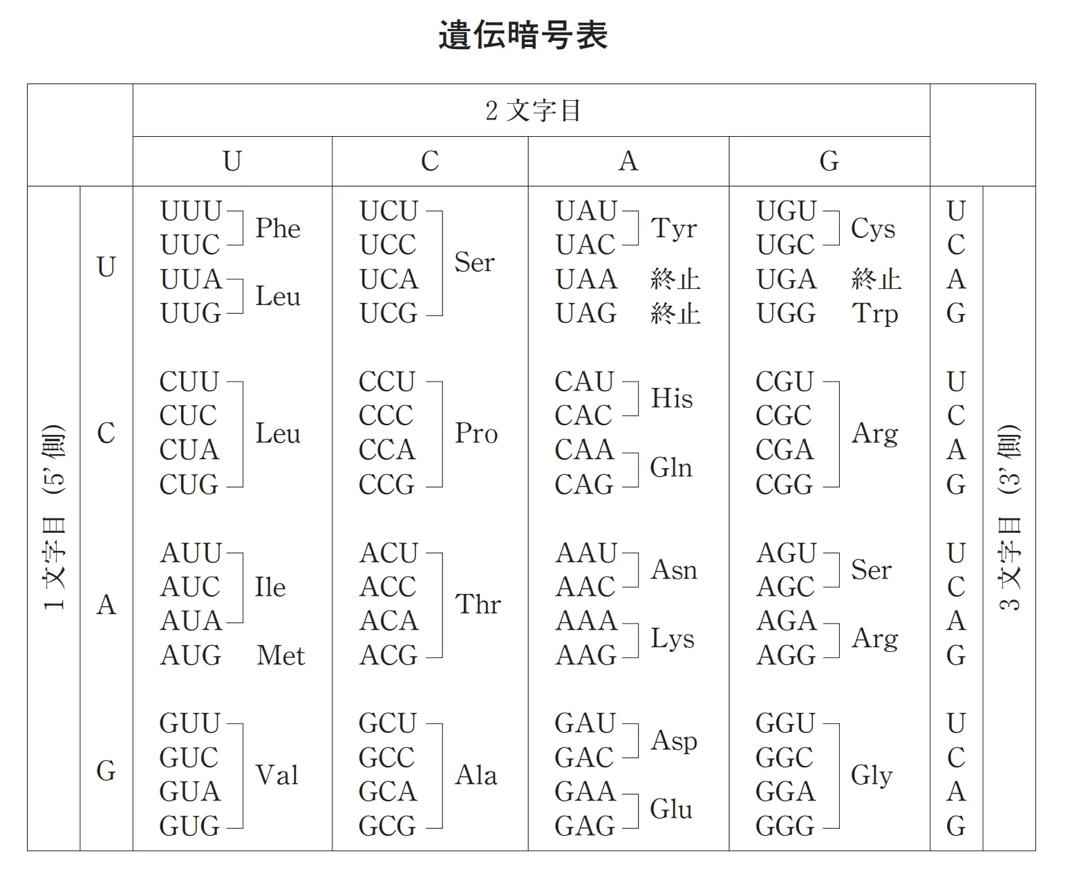 100回問116画像1