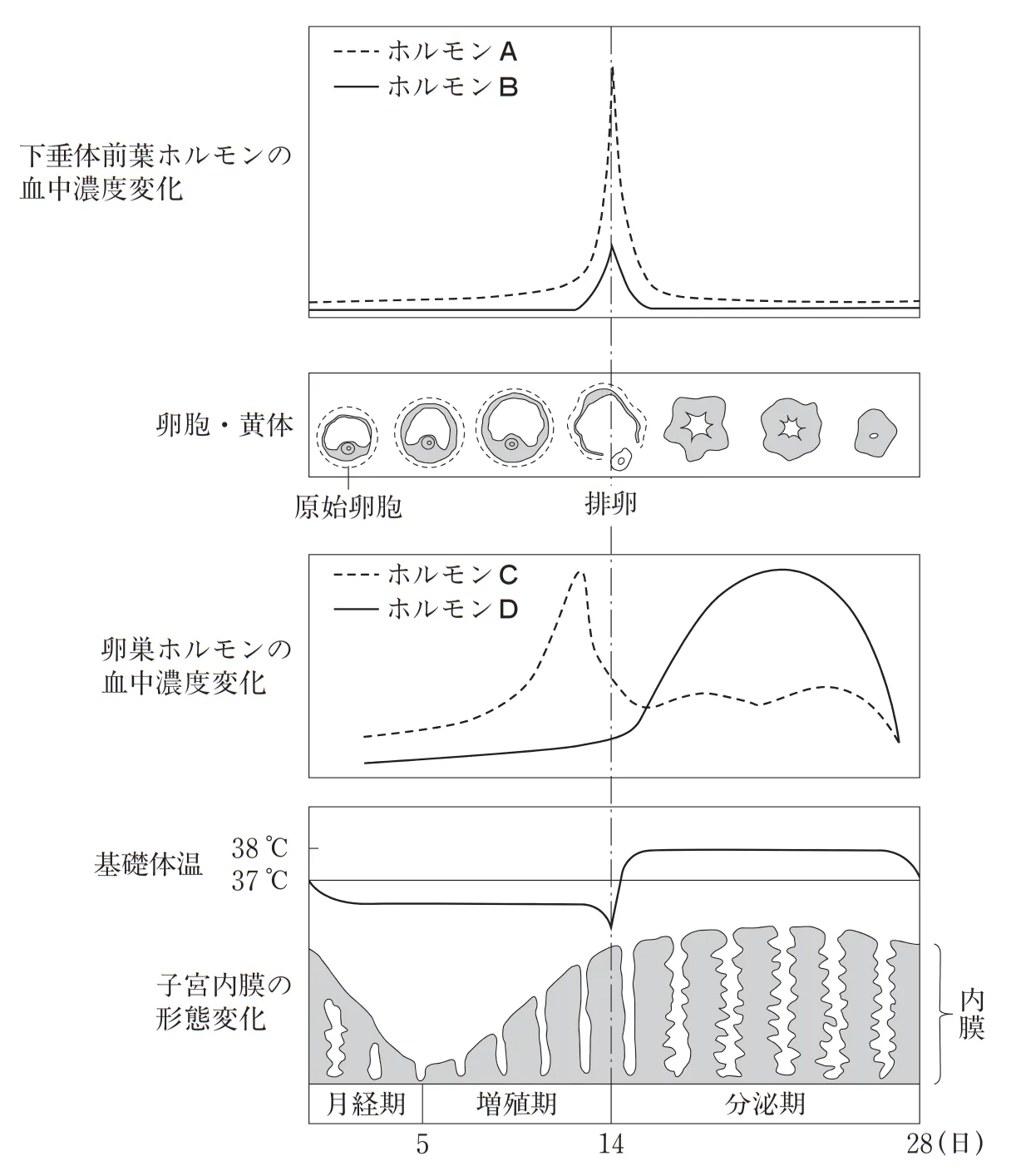 101回問112画像1