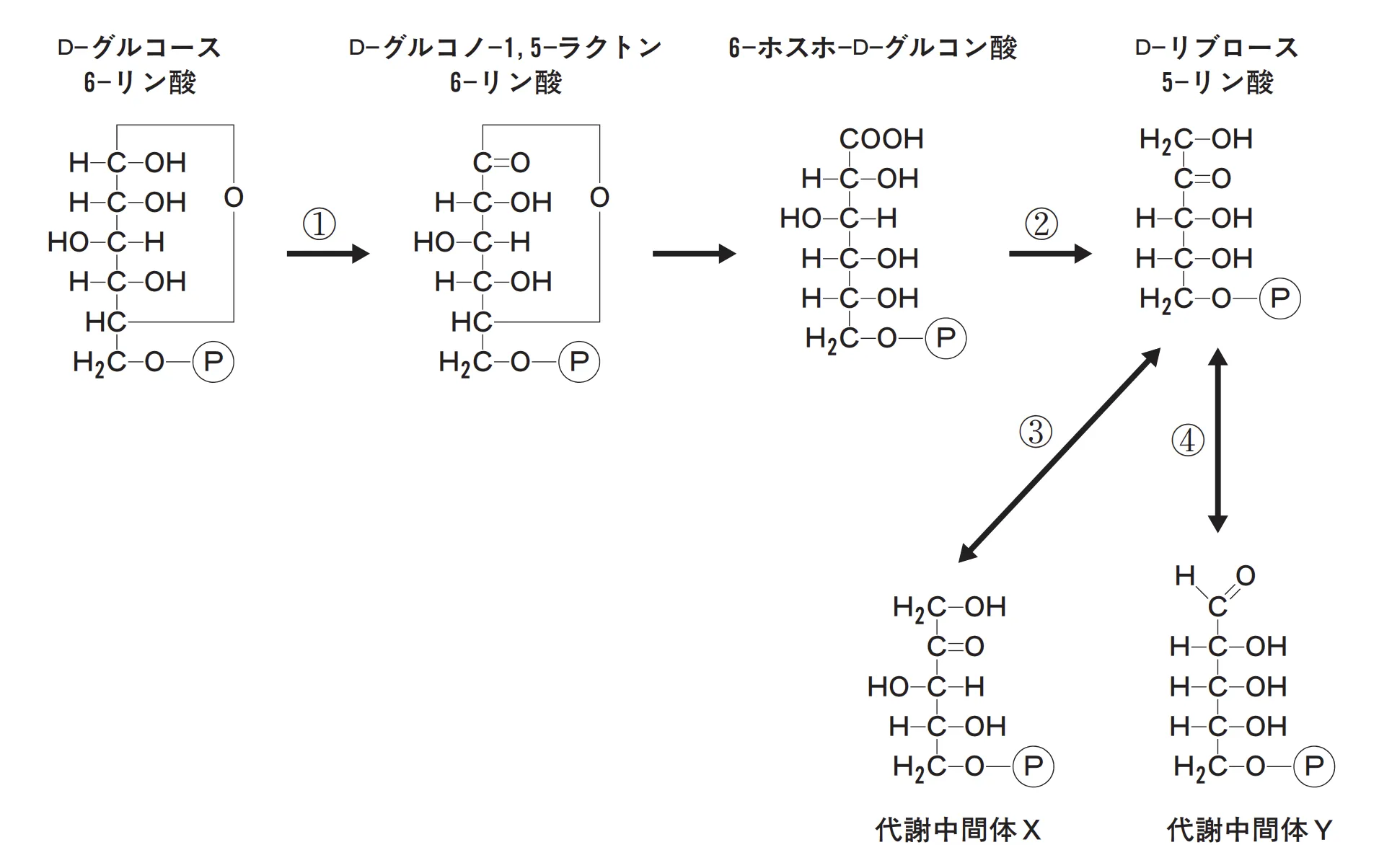 101回問114画像1