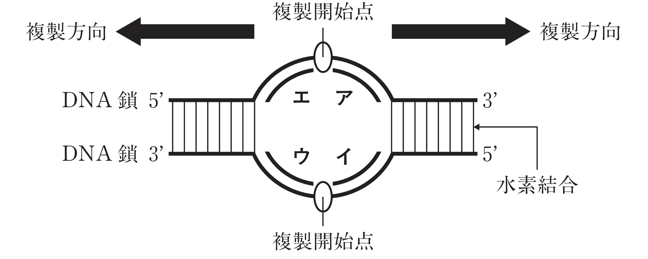 101回問116画像1