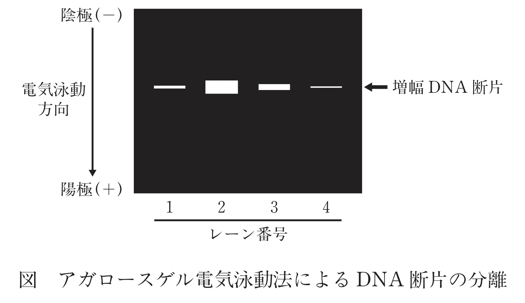 101回問117画像1