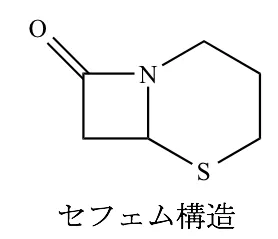 101回問206-207画像1