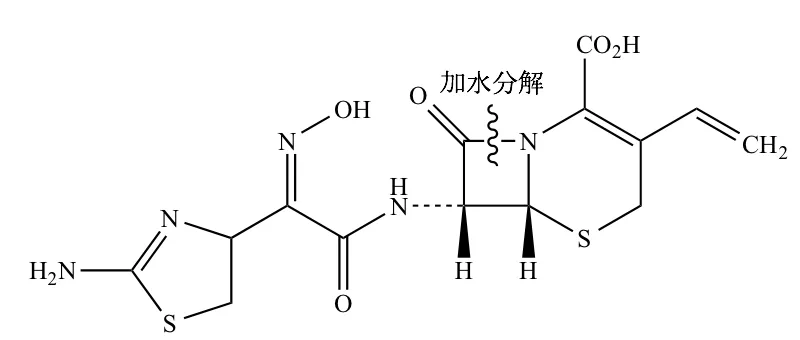 101回問206-207画像2