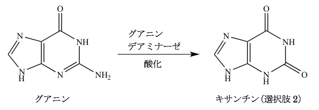 102回問105画像1