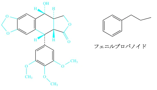 102回問109画像2