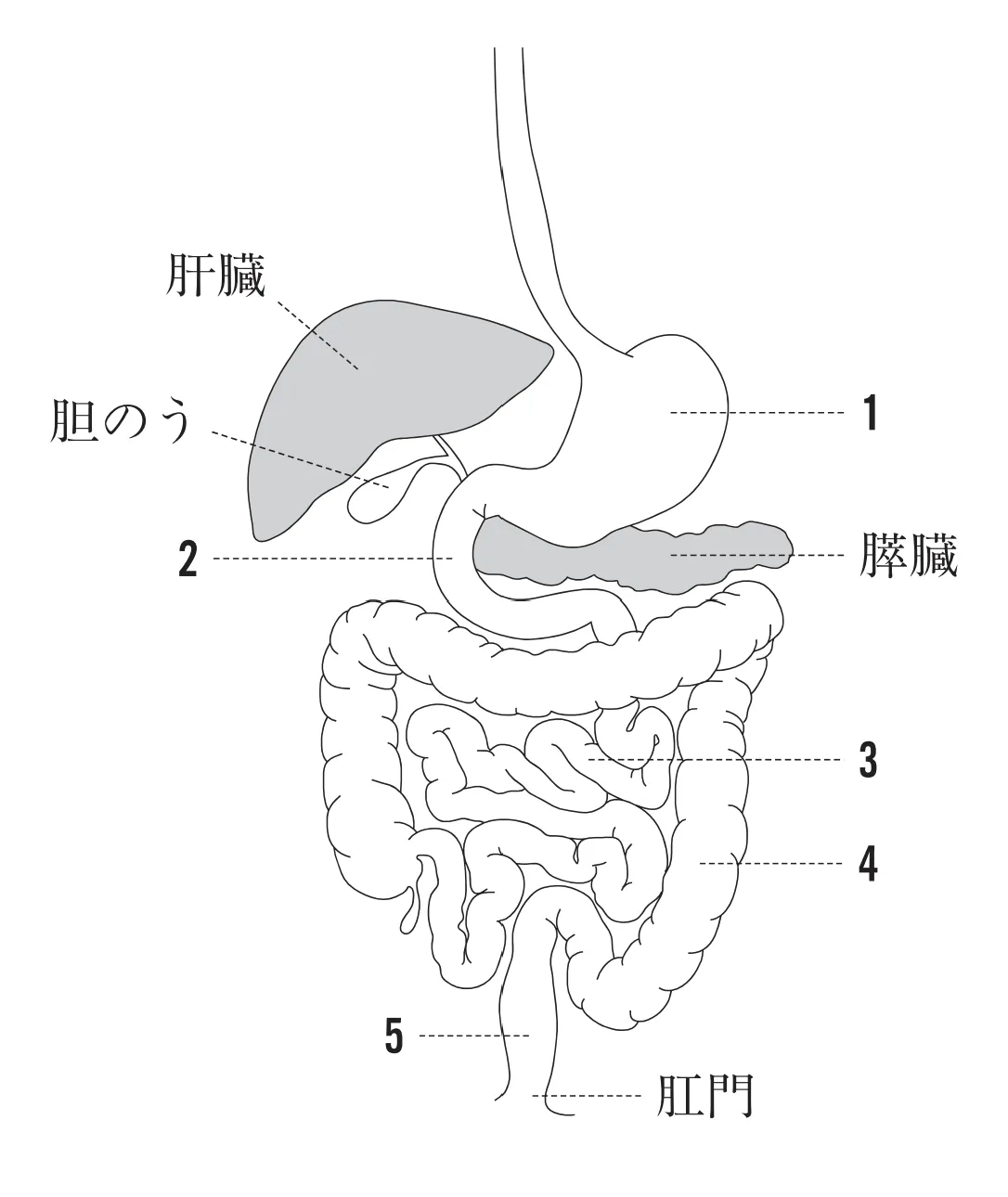 102回問11画像1