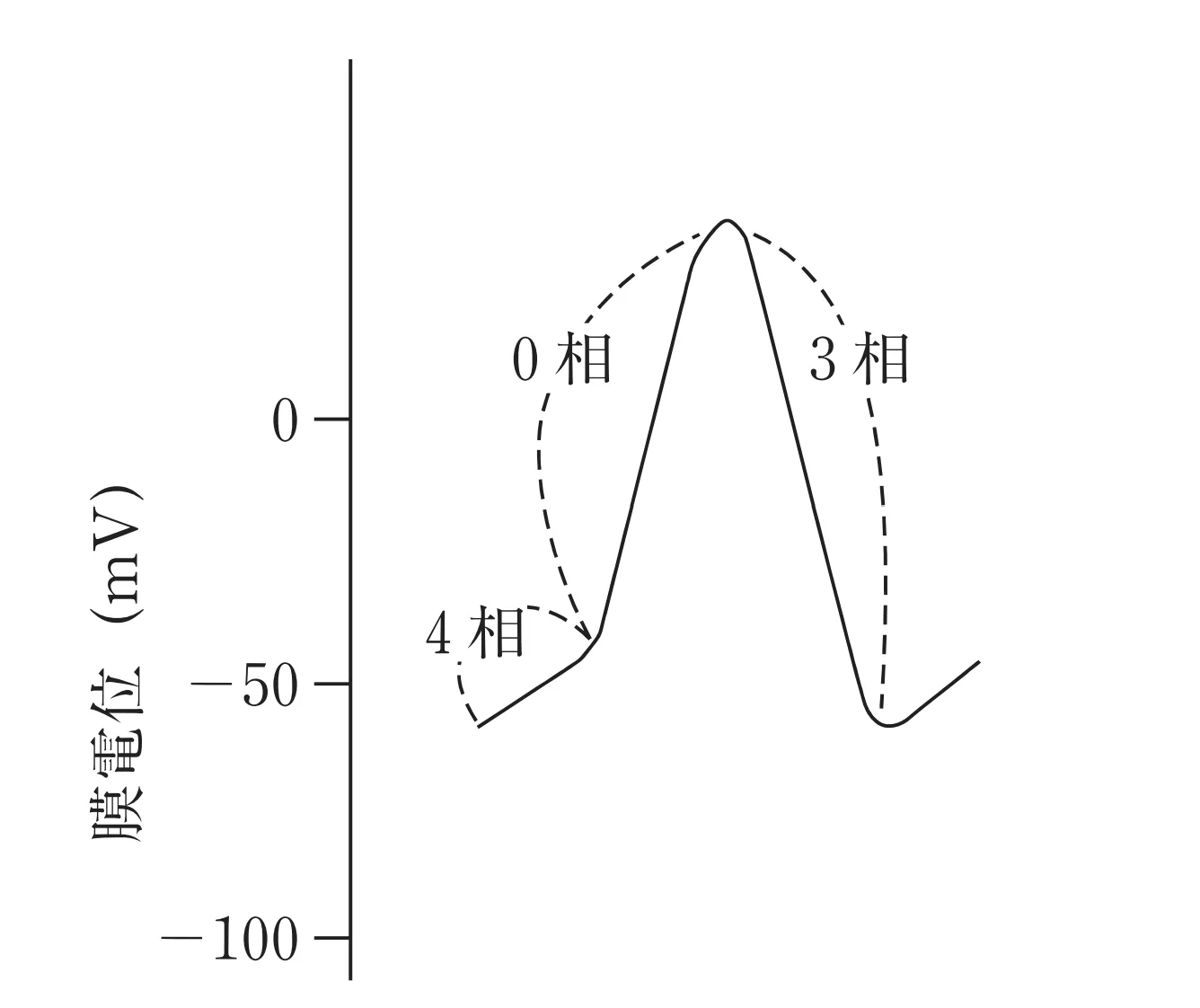 102回問111画像1