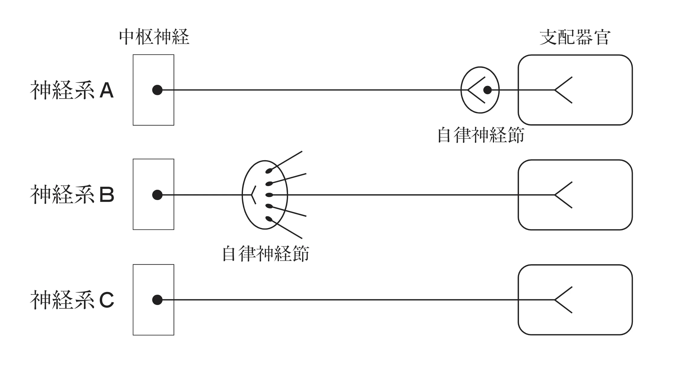 102回問112画像1