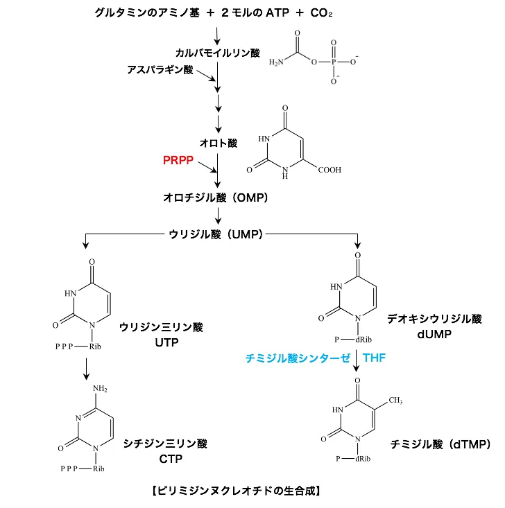 102回問115画像1