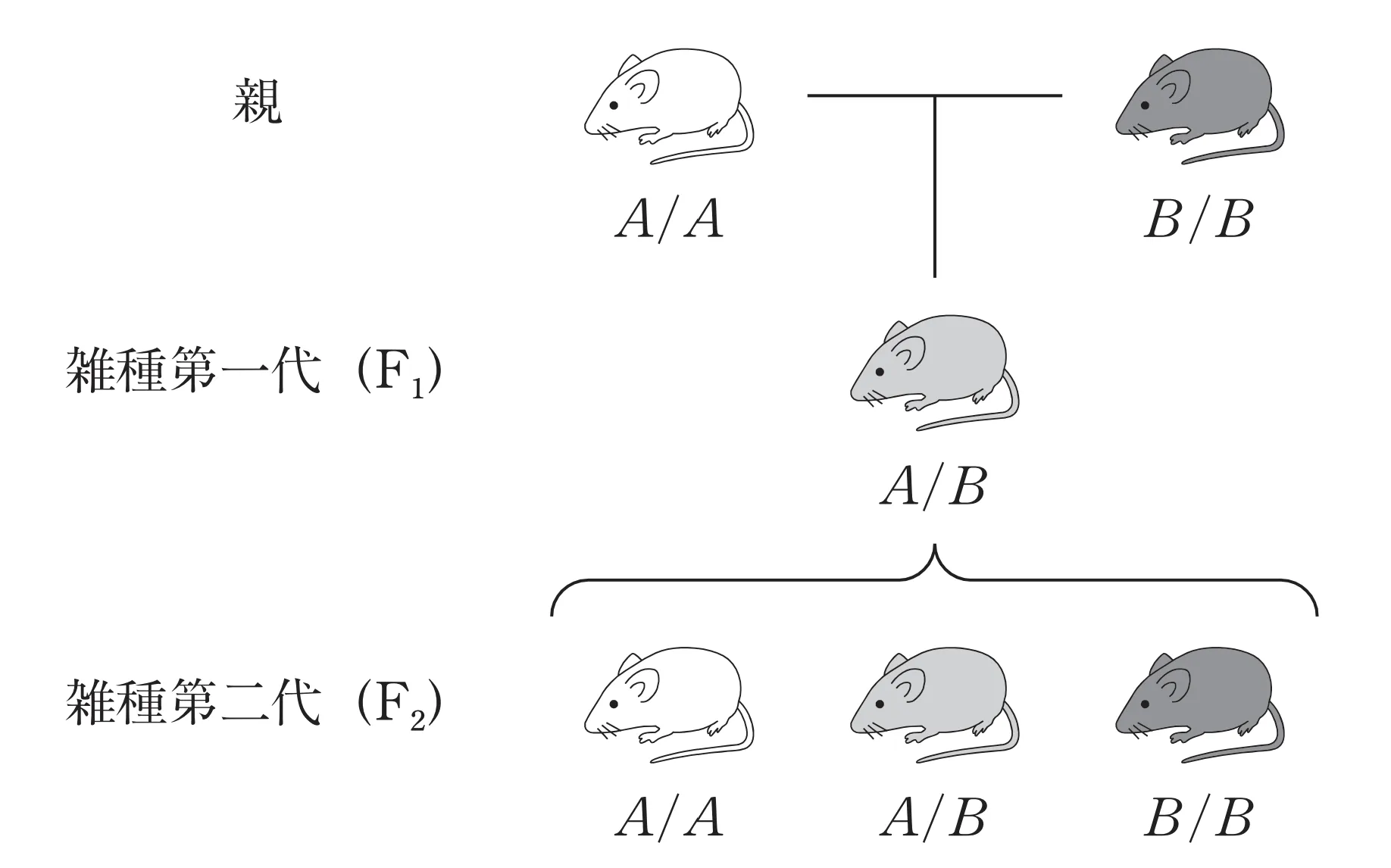 102回問119画像1