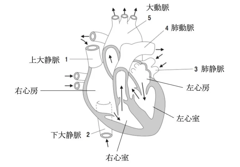 103回問11画像1