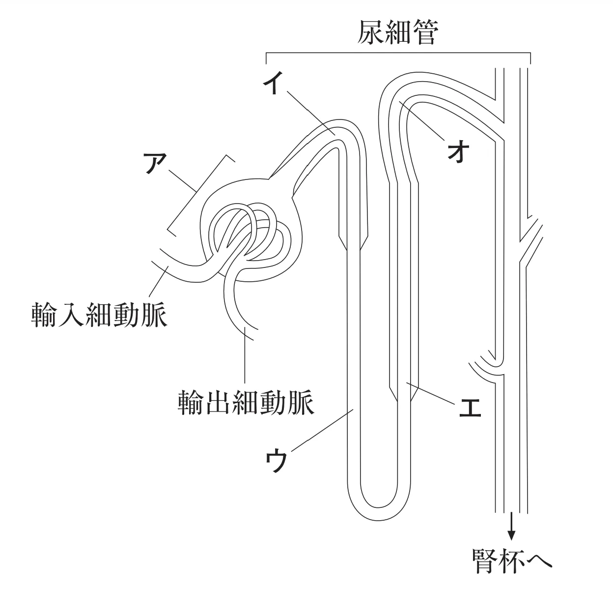 103回問110画像1