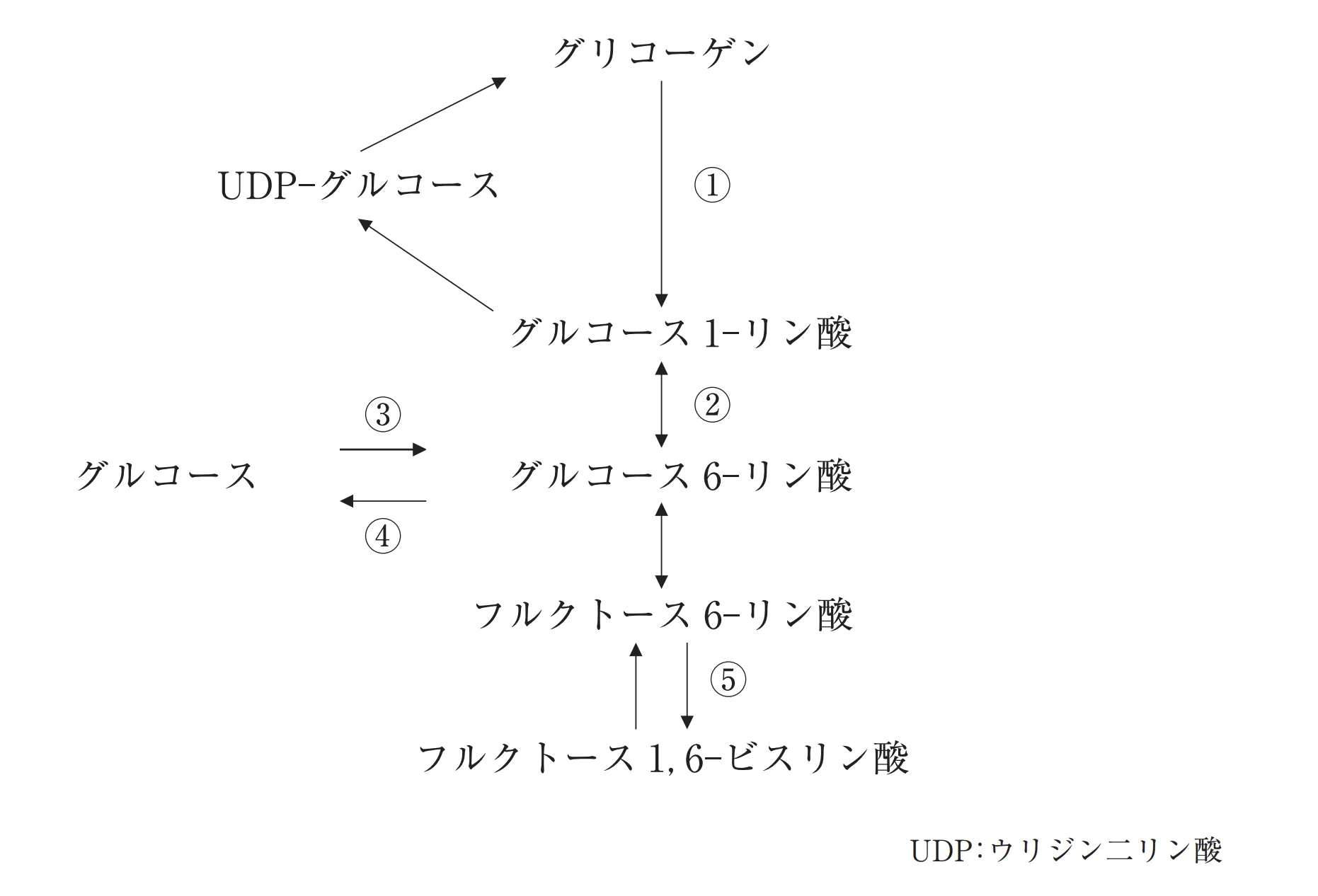 103回問113画像1