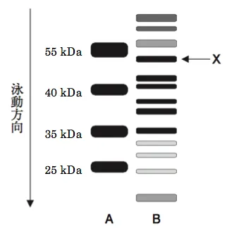 103回問119-120画像1