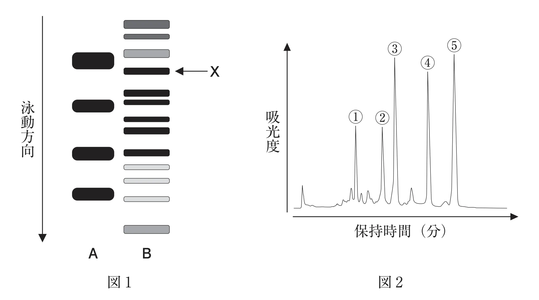 103回問119-120画像1