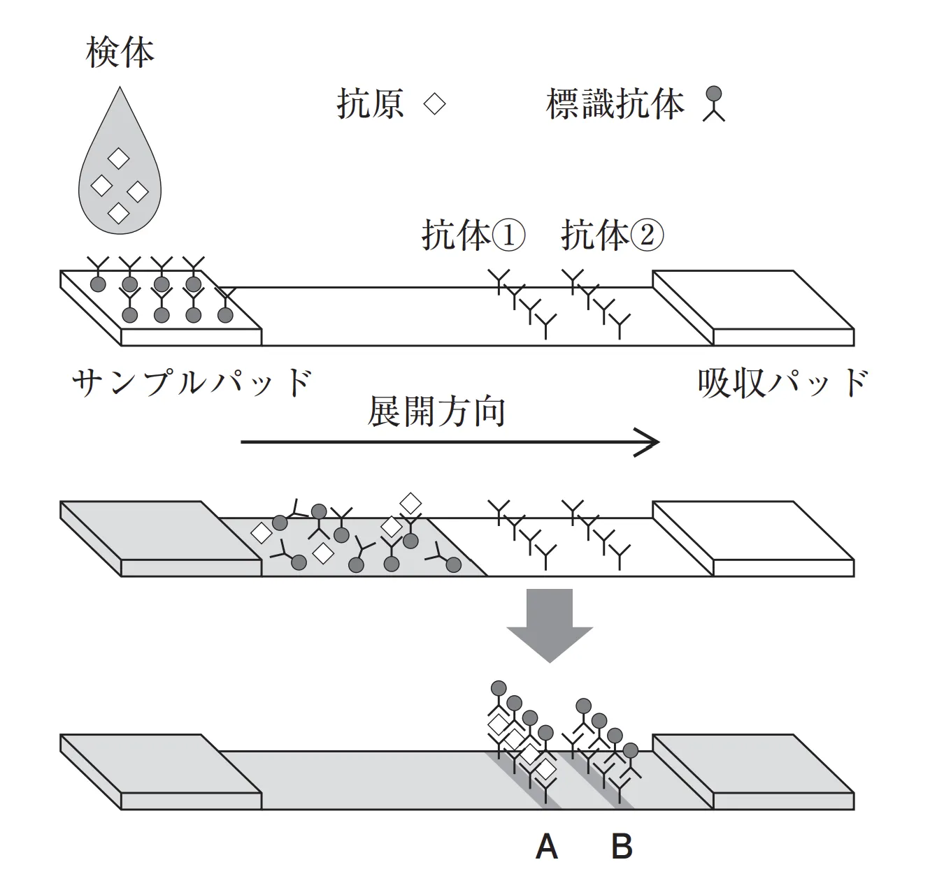 103回問204-205画像1