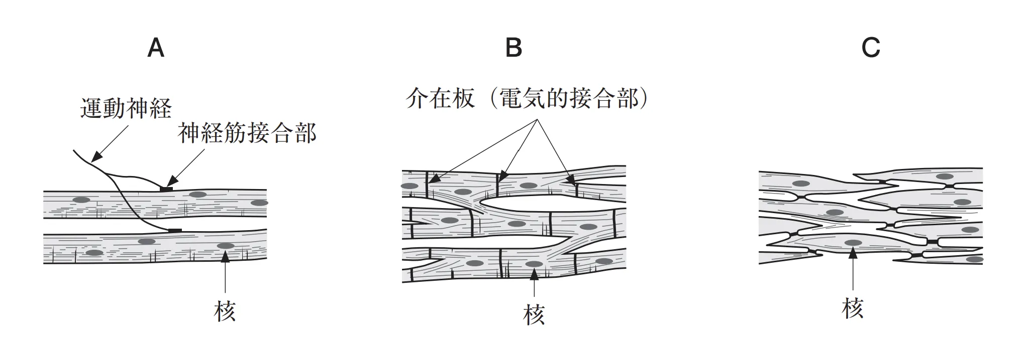 104回問109画像1