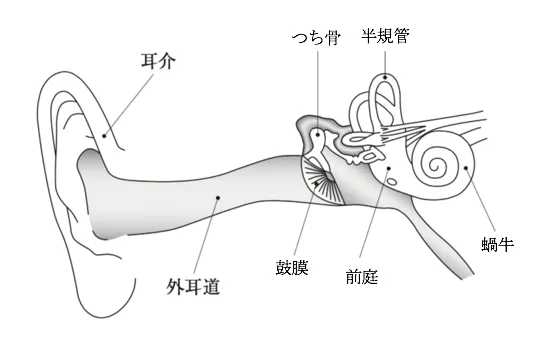 104回問11画像1