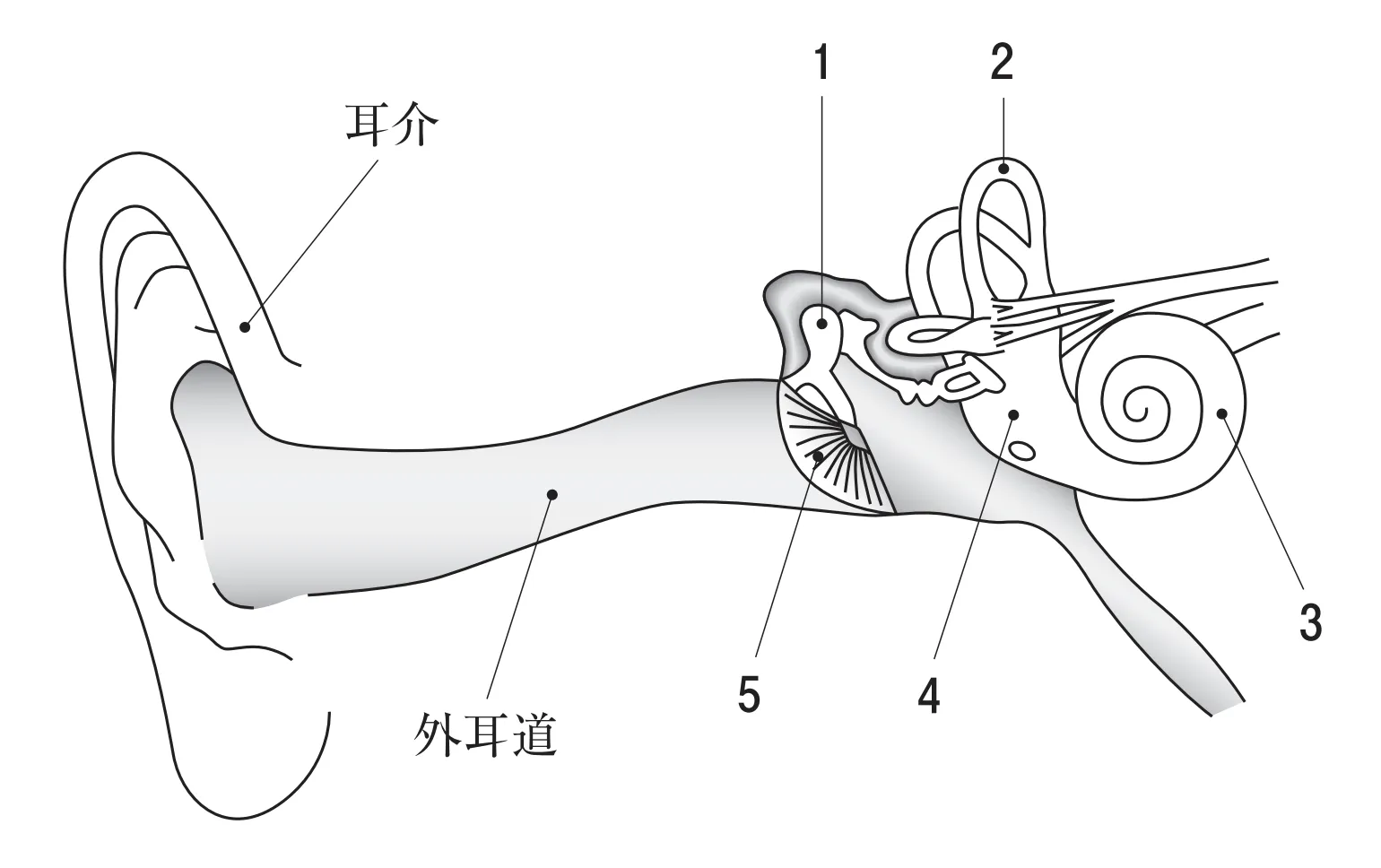 104回問11画像1