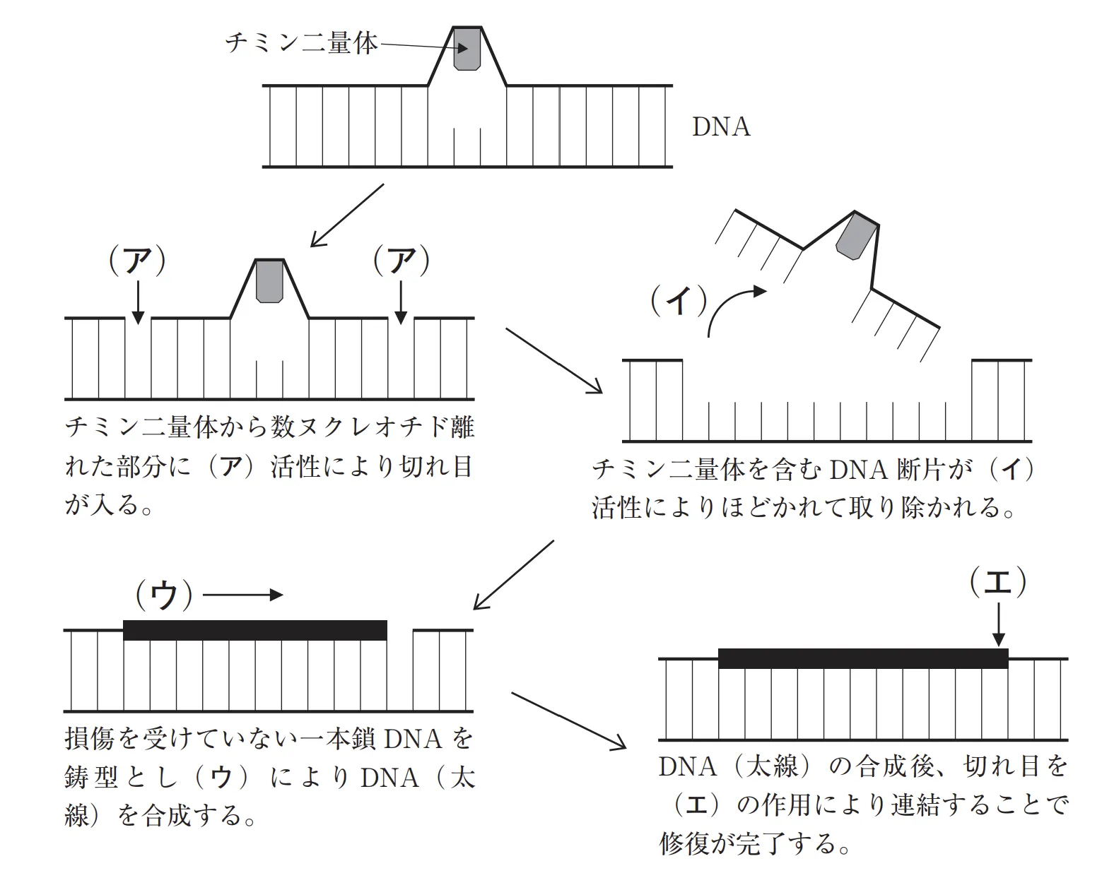 104回問114画像1