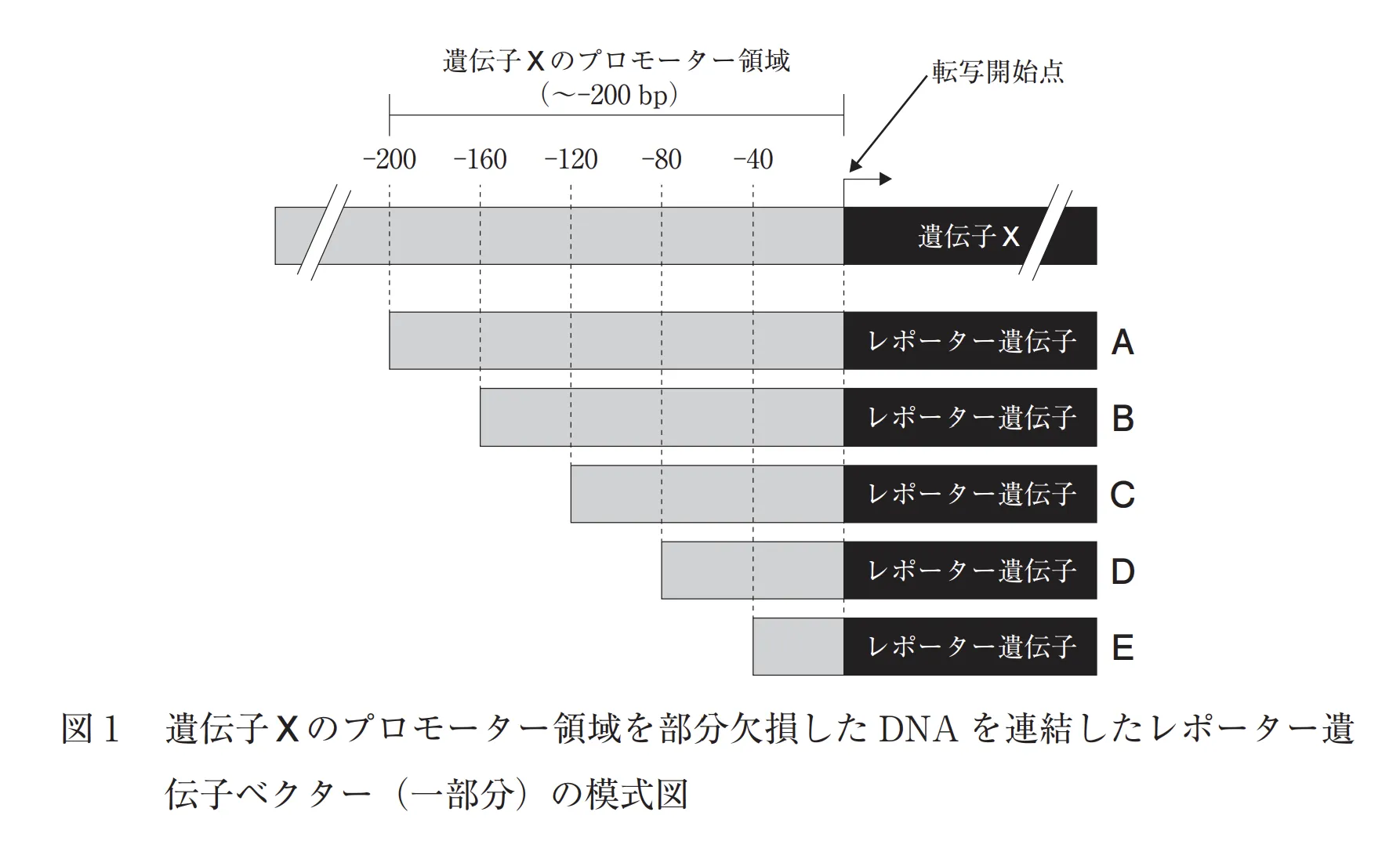 104回問115画像1