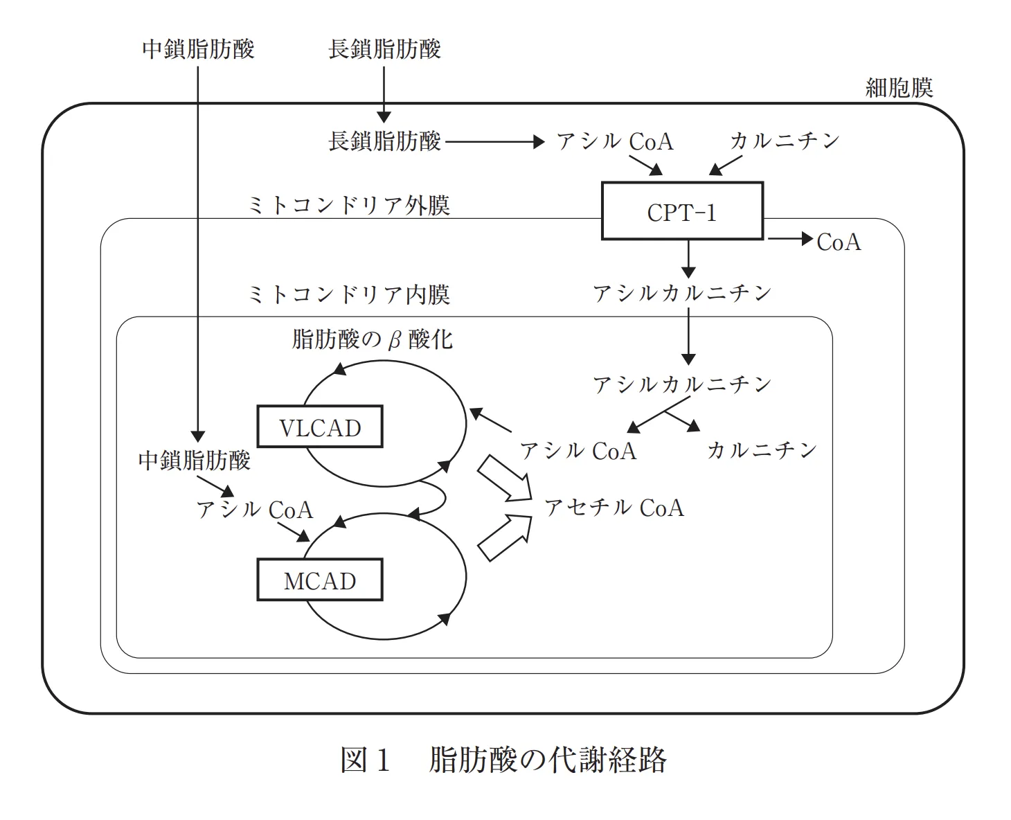 104回問137-140画像1