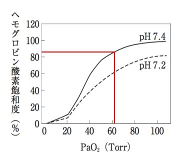 104回問204-205画像1