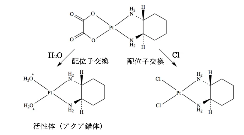 104回問206-207画像1