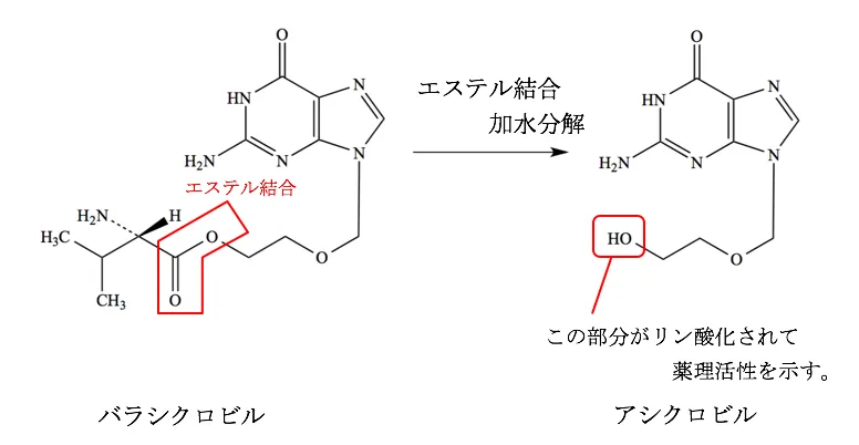 104回問212-213画像1