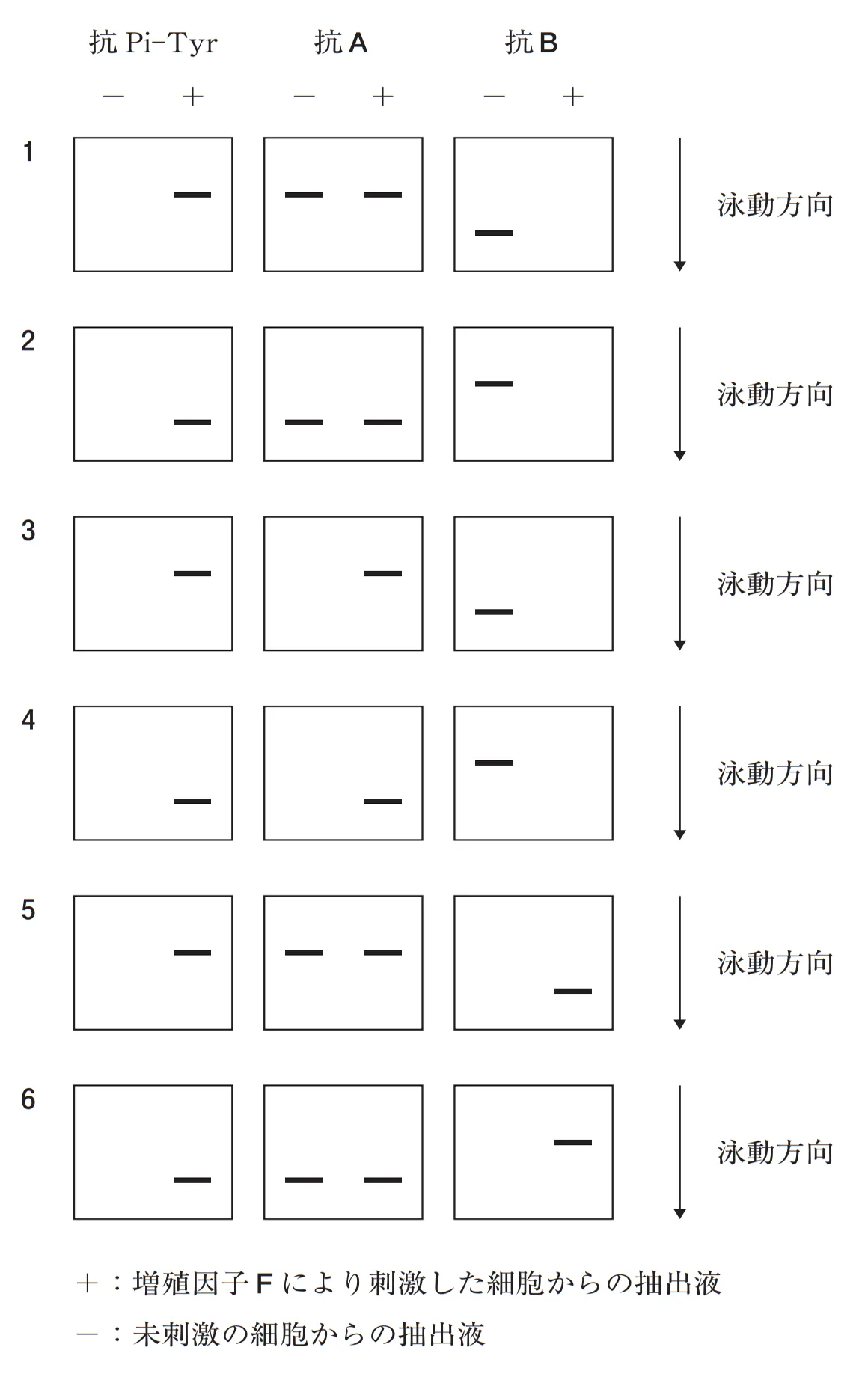 105回問116画像3