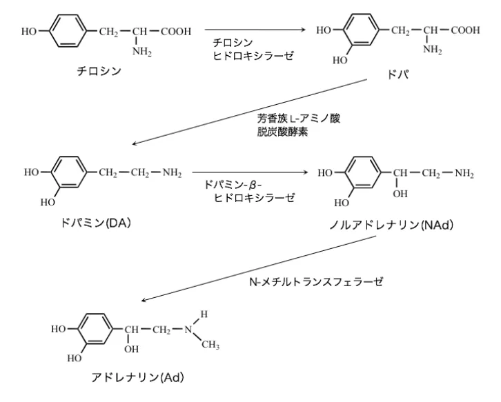 105回問13画像1