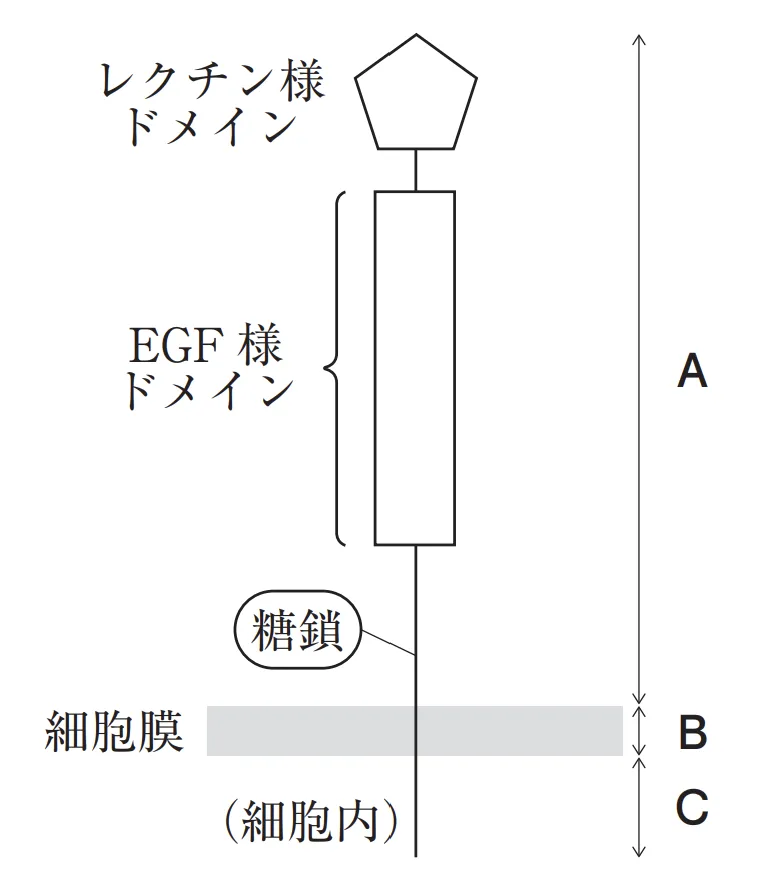 105回問220-221画像2