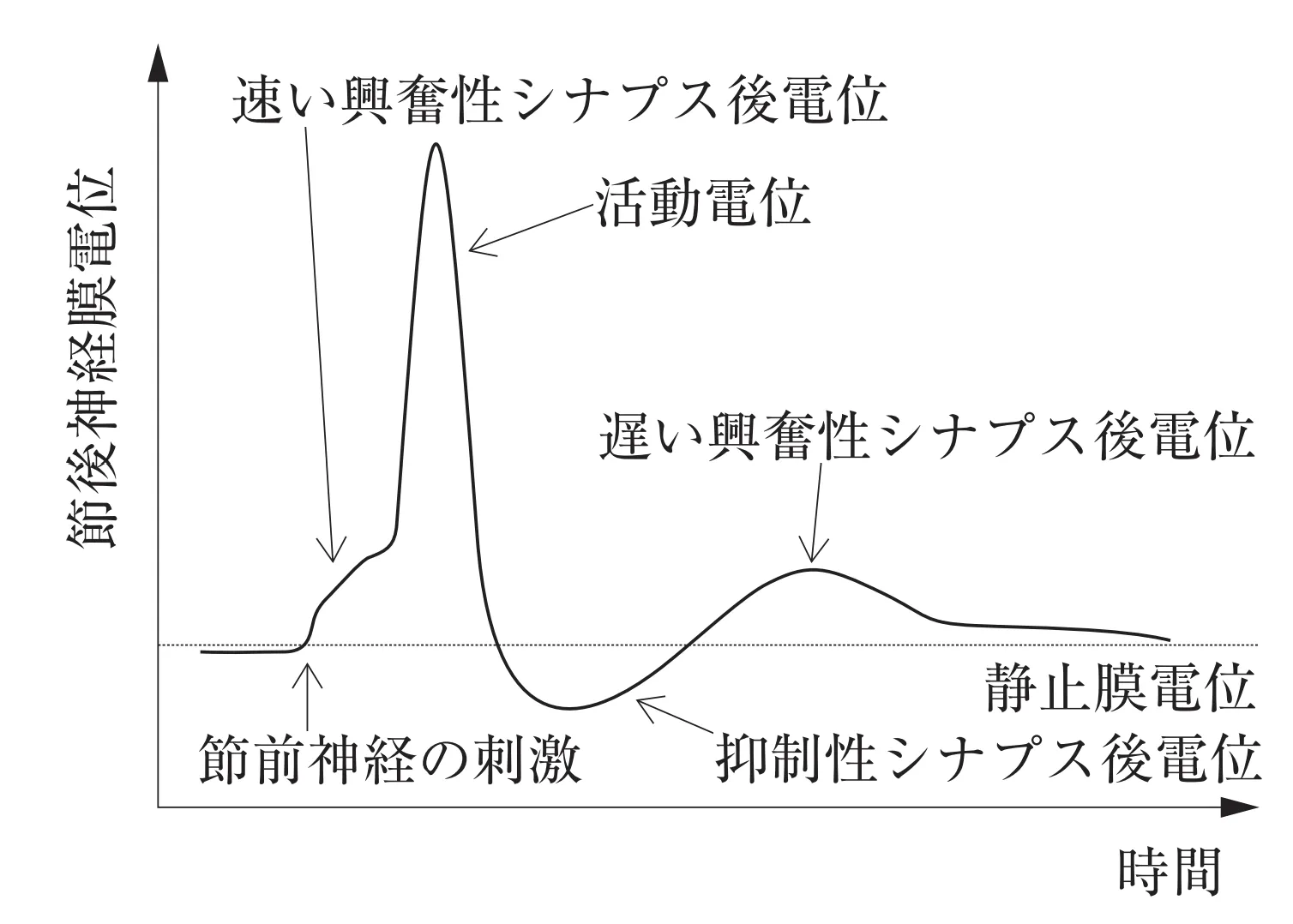 105回問29画像1