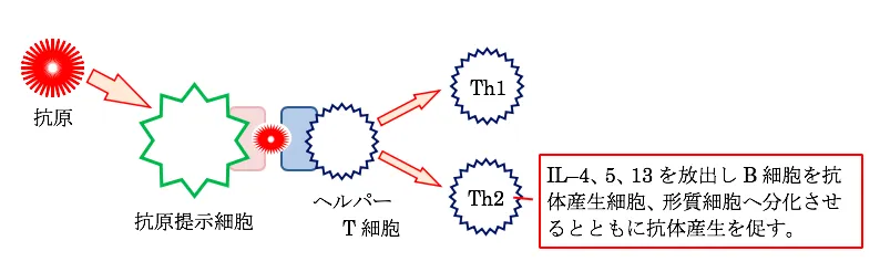 105回問296-297画像1