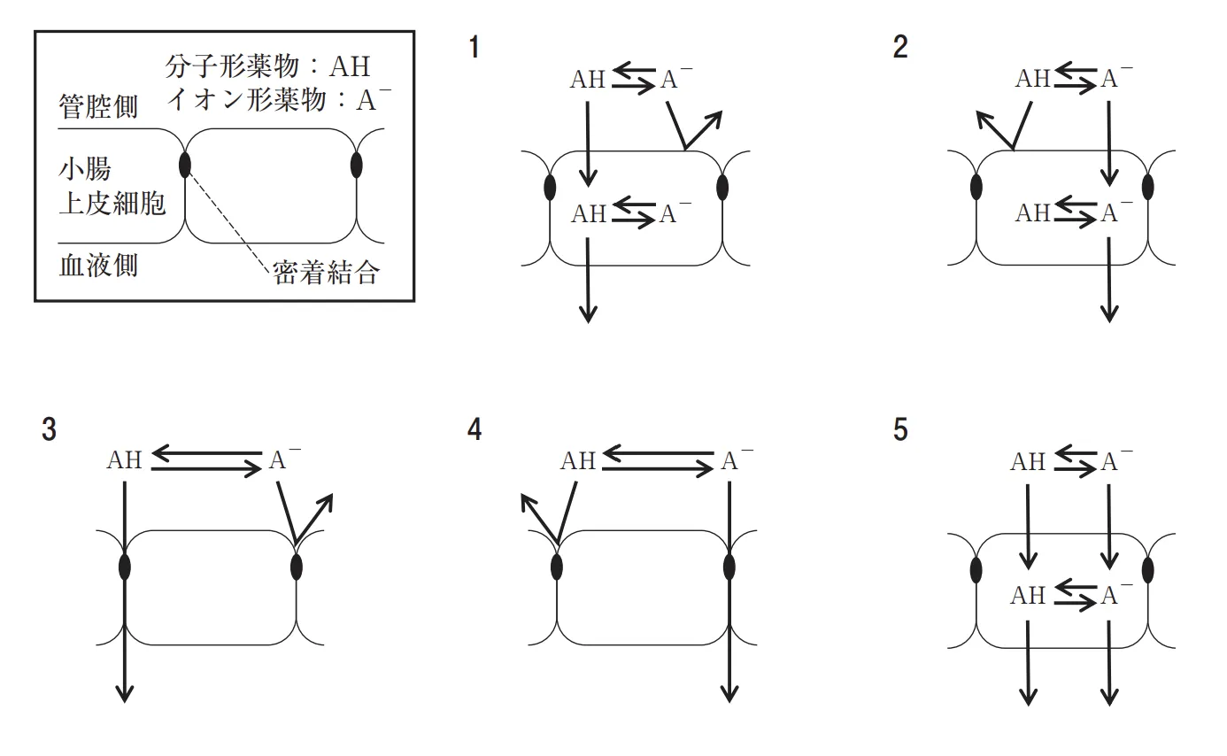 105回問41画像1