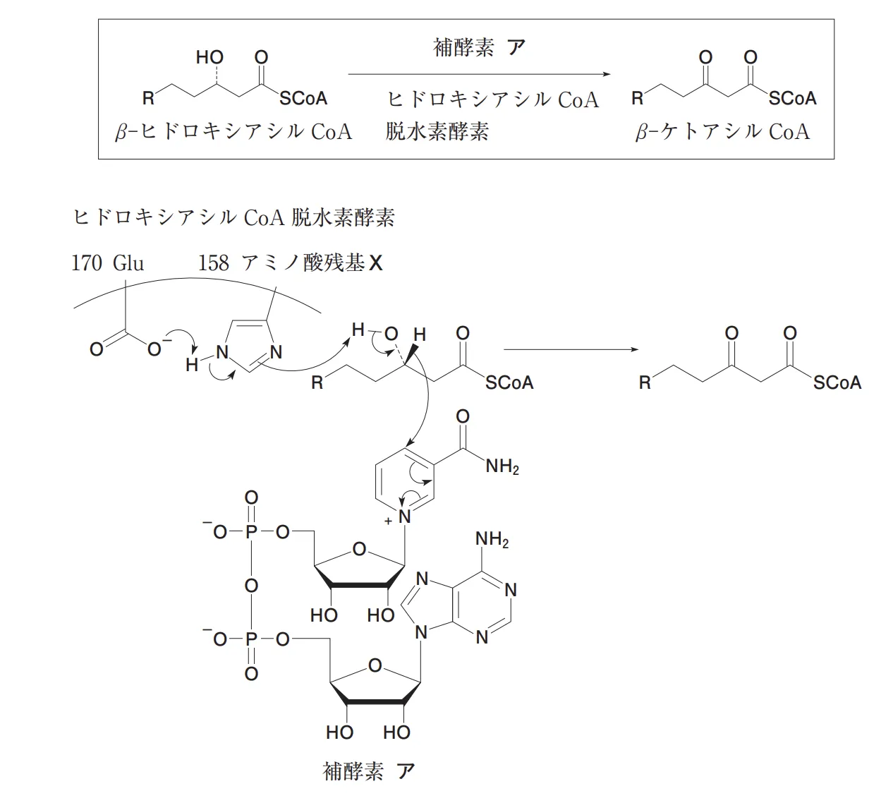 第106回薬剤師国家試験問106 - SEED