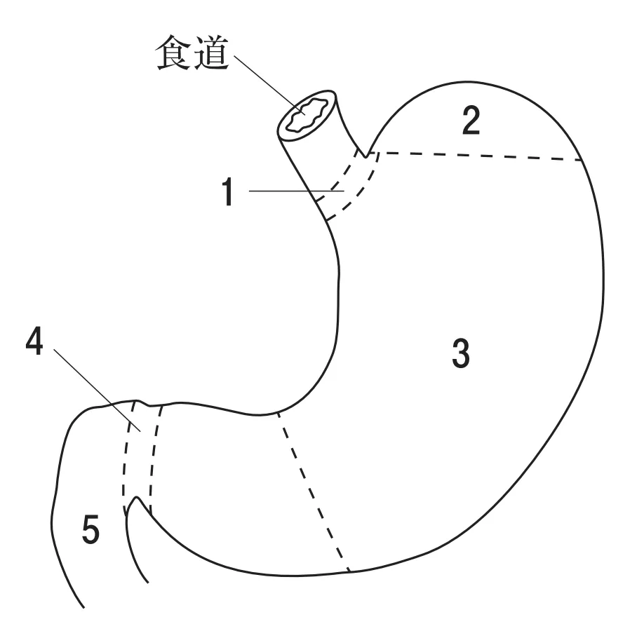 106回問11画像1