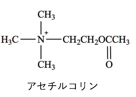 106回問111画像2