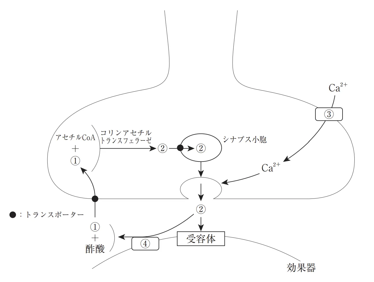 106回問111画像1