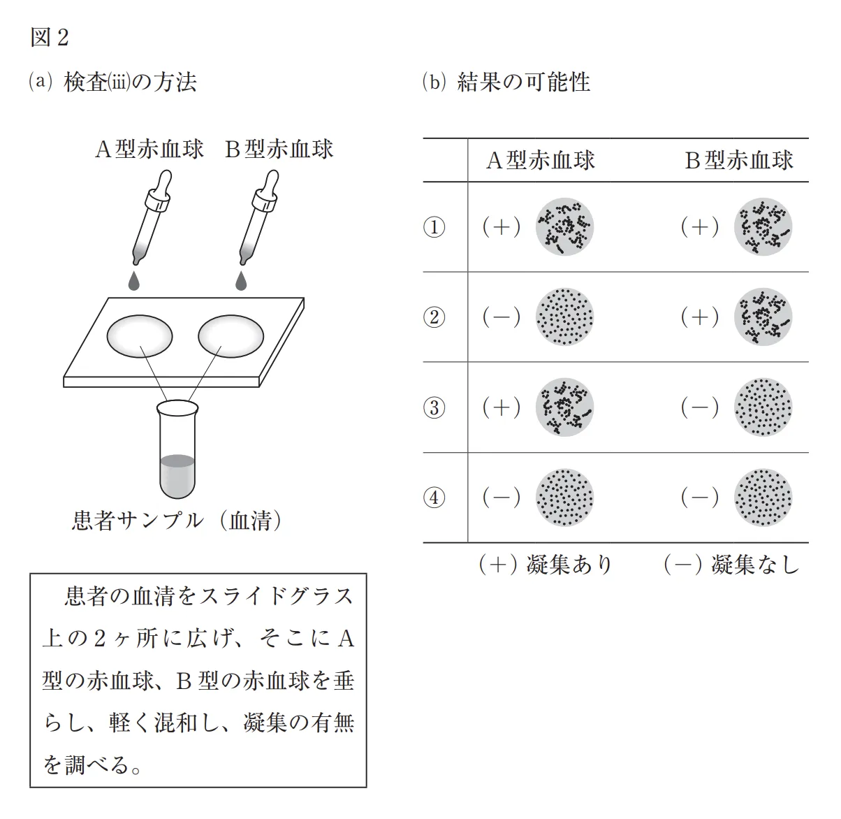 106回問116画像2