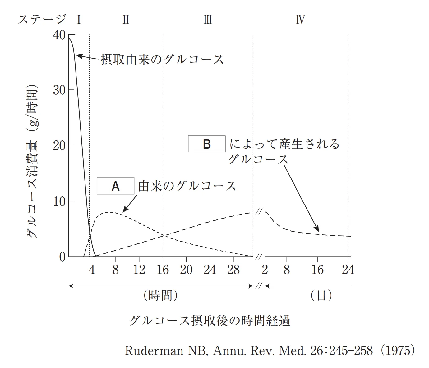 106回問128画像1