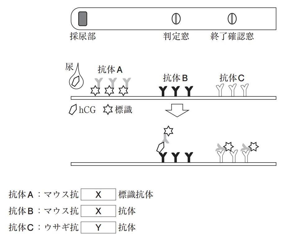 106回問196-197画像1