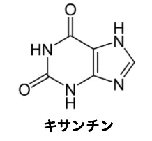 106回問220-221画像1