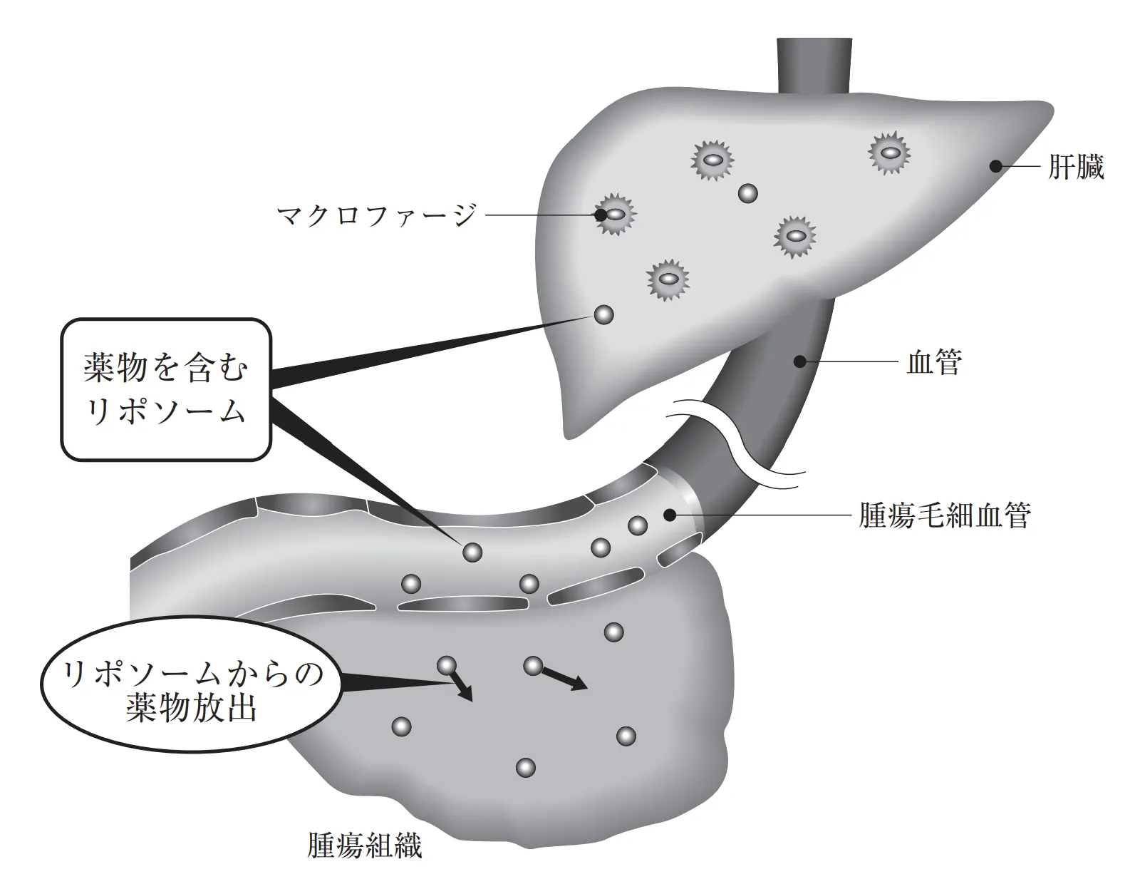 106回問55画像1