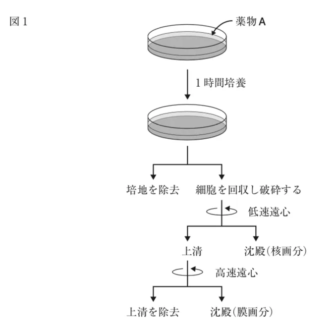 107回問114画像1