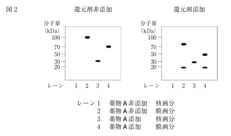 107回問114画像2