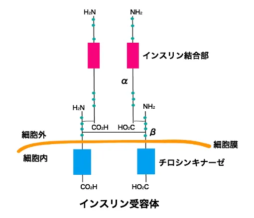 107回問151画像1